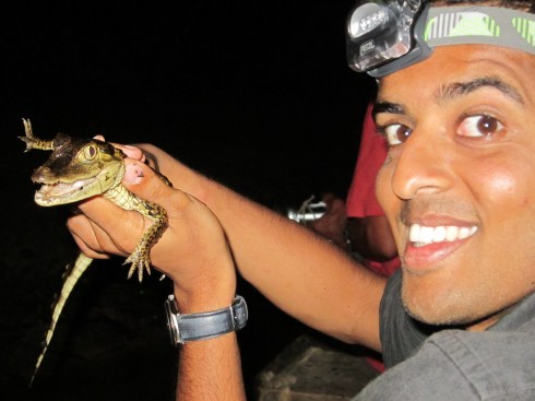 Holding a baby crocodile just snatched out of the water